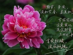 -长春公园(普阳街道)