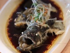 清蒸石头鱼-七仙岭君澜度假酒店·桃源小馆中餐厅