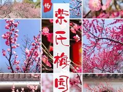 -无锡梅园公园