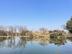 -西溪国家湿地公园