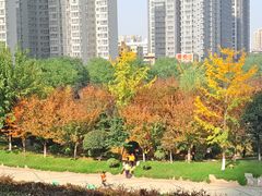 -陕西自然博物馆