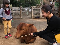 -费瑟代尔野生动物园