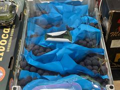 -深圳市海吉星国际农产品物流管理有限公司