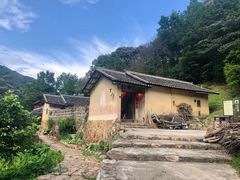 -雁南飞茶田景区