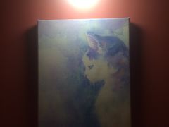-猫爷宠物生活馆·撸猫馆
