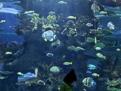 -多彩贵州城极地海洋世界