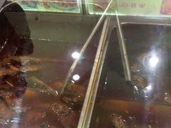 -鸿运兔·手撕烤兔(天府广场店)