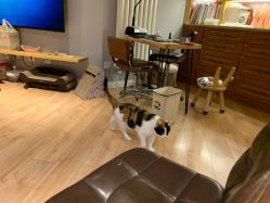 -沫儿·美甲美睫·半永久·皮肤管理