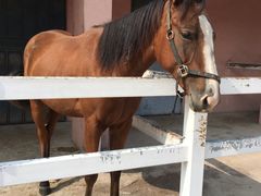 -龙口南山旅游景区