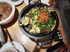 -聚鑫朋酸菜肥肠(文艺路口店)