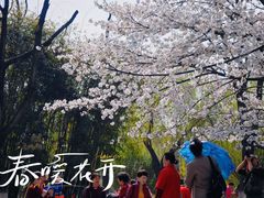 -堤角公园