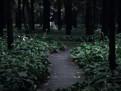 -颐和园