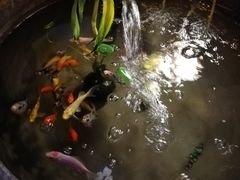 -望京一号·重庆江湖菜(工体店)