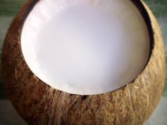 特浓椰子冻-椰爺爺·椰子冻砵仔糕