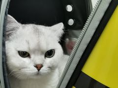 -萌兽医馆·绝育·24小时内科·宠物医院(德胜店)
