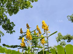 -风云岭森林公园