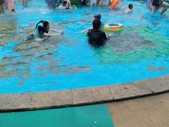 -杭州浪浪浪水公园