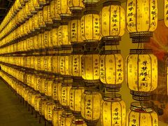 -寻梦滕王阁实景演出