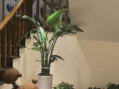 -翼精致料理(昆山旗舰店)