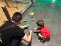 -酷嗒动物文化乐园(cutezoo西溪乐天城店)