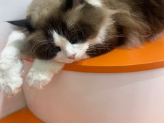 -万达广场(南京江宁店)