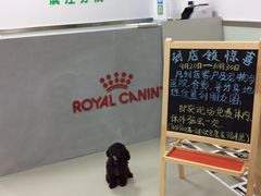 -美美宠物诊疗中心·异宠·骨科(滨江东信分院)