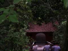 -桐君山春江扬帆码头