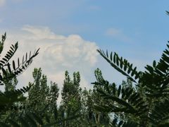 -龍歌自助小火锅(城阳万象汇店)