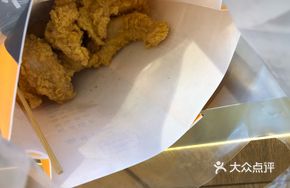 Special Fried Meat Large Portion