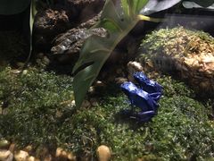 -暹罗海洋世界