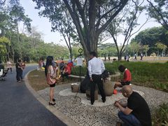 -东莞植物园