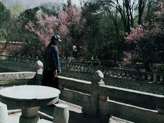 -罗布林卡