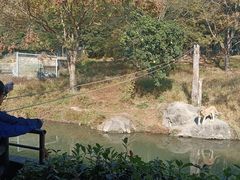 -宁波野生动物园