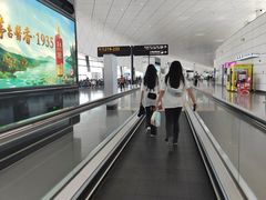 -郑州新郑国际机场-T2航站楼