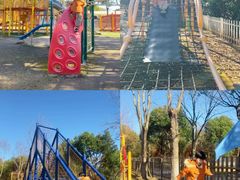 -上海海湾国家森林公园