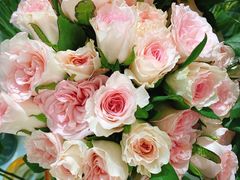 -森野花艺培训·企业团建活动沙龙