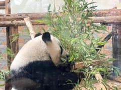 -青岛动物园