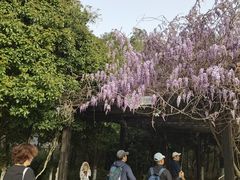 -九龙潭景区