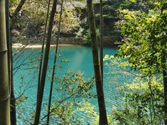 -石台牯牛降景区