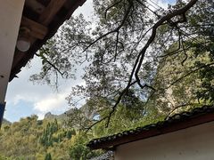 -生态苑农庄(十里画廊遇龙河店)