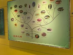 -上海昆虫博物馆