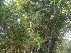 -燕晗山郊野公园