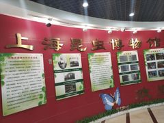 -上海昆虫博物馆
