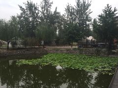 -北京民族园葉子里酒店(鸟巢店)