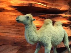 -酷嗒动物文化乐园(cutezoo西溪乐天城店)