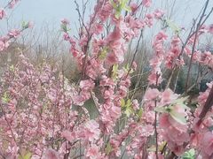 -木兰水镇旅游景区