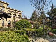 -青岛香根温泉酒店