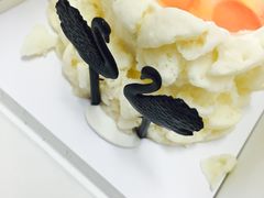 -BLACKSWAN黑天鹅(环球店)