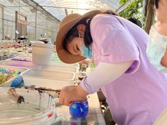 -前小桔亲子创意农场·草莓采摘·露营烧烤