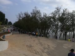 -宝安西湾红树林湿地公园